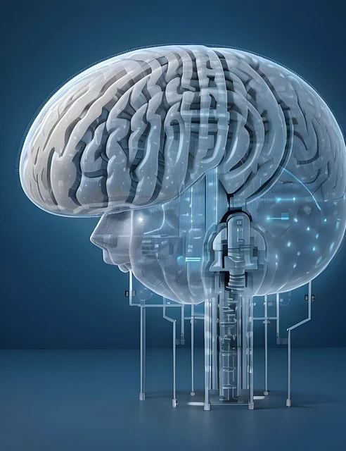 brain-computer interfaces