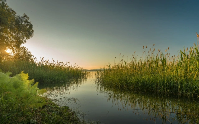 What are wetlands and why are they important to life on the planet?